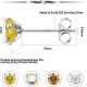 Birthstone Tiny Stud Earrings For Women Men 4Pairs 3MM Brilliant Cut Round Cubic Zirconia Earrings Hypoallergenic Colorful CZ Earrings Birthstone Tiny Stud Earrings For Women Men 4Pairs 3MM Brilliant Cut Round Cubic Zirconia Earrings Hypoallergenic Colorful CZ Earrings